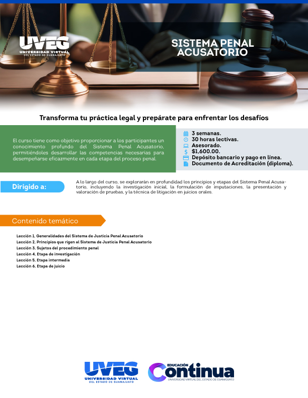 Curso sist penal acusatorio