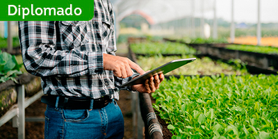 Diplomado en Agrotecnología