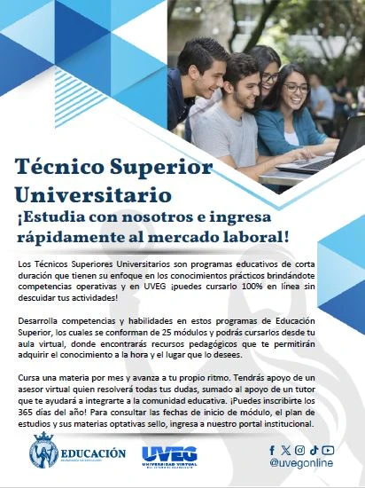 Infografía TSU General